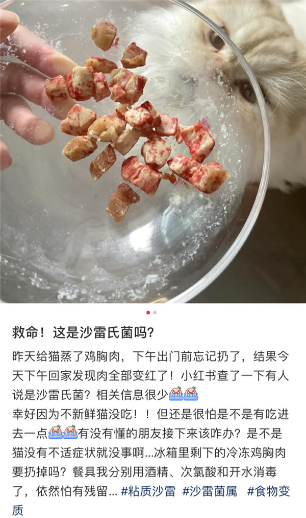 门徒登录:好可怕!为什么马桶里总是有一圈红色啊啊啊